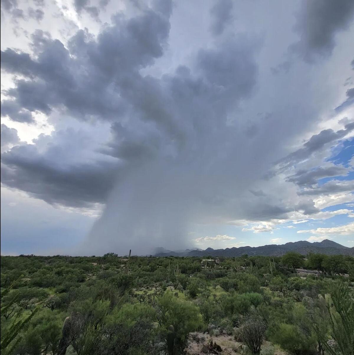 Luxury 3Bd 2Ba Home Near Tucson With Desert Views - Low Summer Rates! Oro Valley Exteriér fotografie
