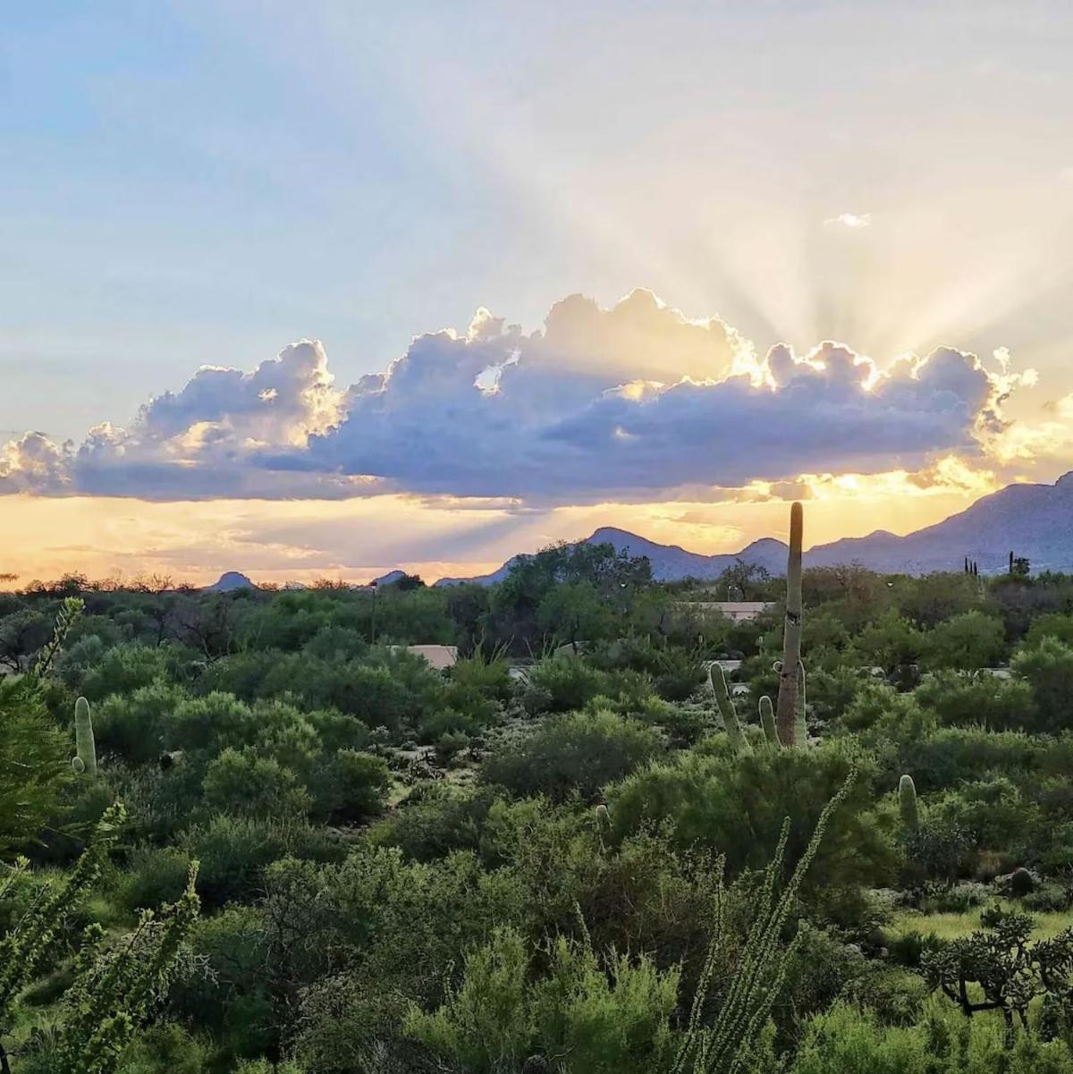 Luxury 3Bd 2Ba Home Near Tucson With Desert Views - Low Summer Rates! Oro Valley Exteriér fotografie