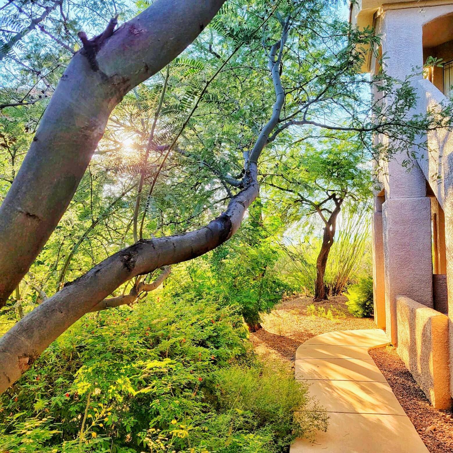 Luxury 3Bd 2Ba Home Near Tucson With Desert Views - Low Summer Rates! Oro Valley Exteriér fotografie