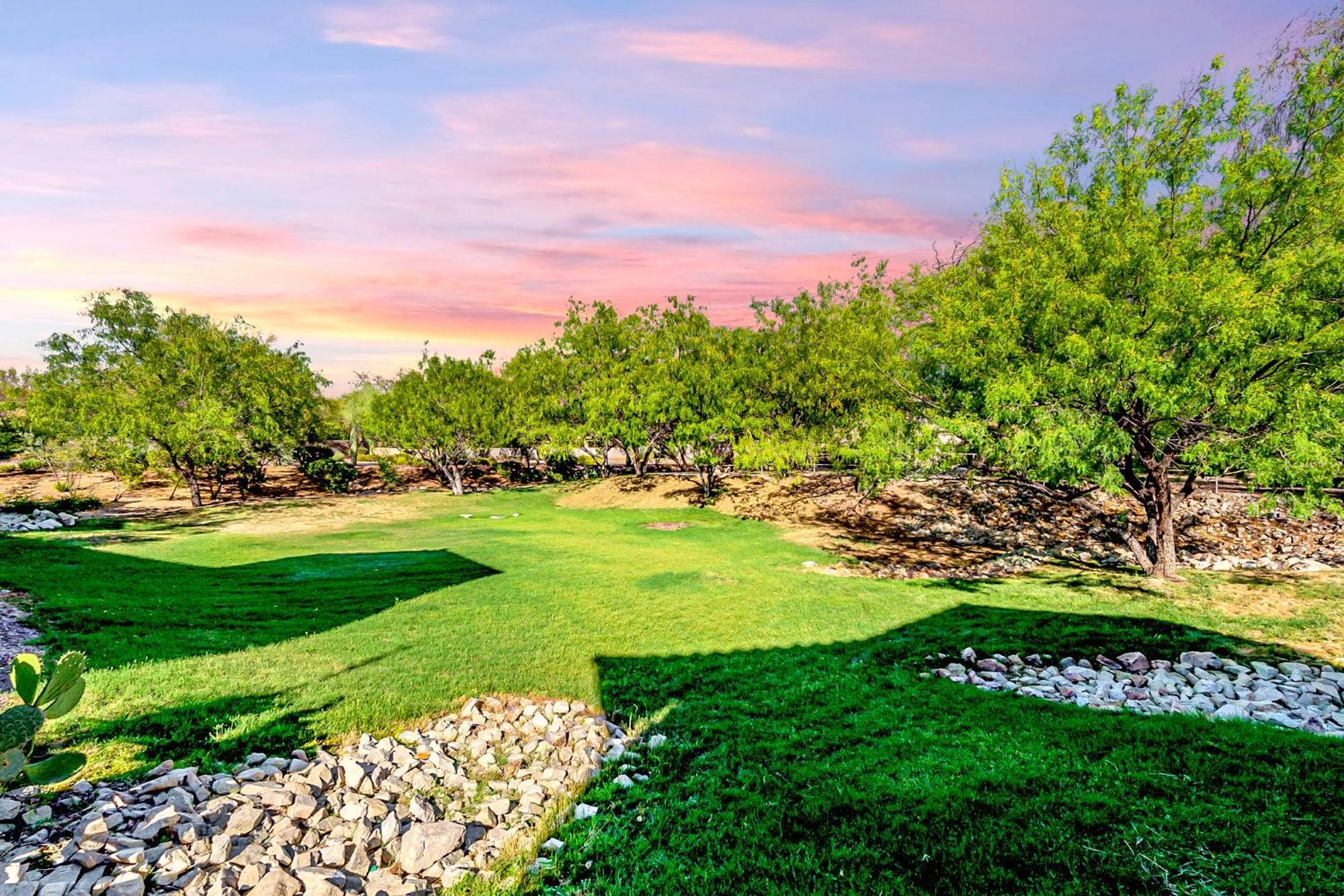 Luxury 3Bd 2Ba Home Near Tucson With Desert Views - Low Summer Rates! Oro Valley Exteriér fotografie